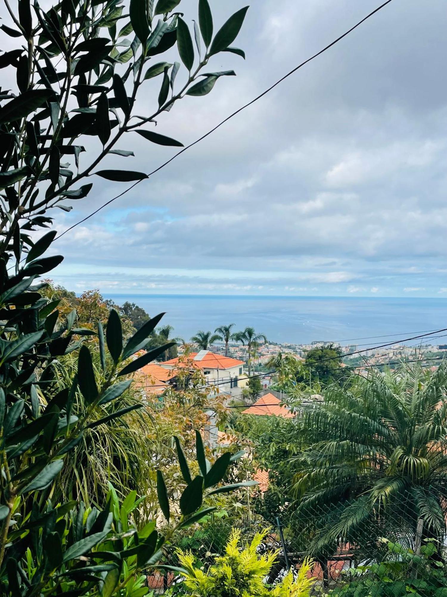 Cozy House Hotel Funchal  Kültér fotó