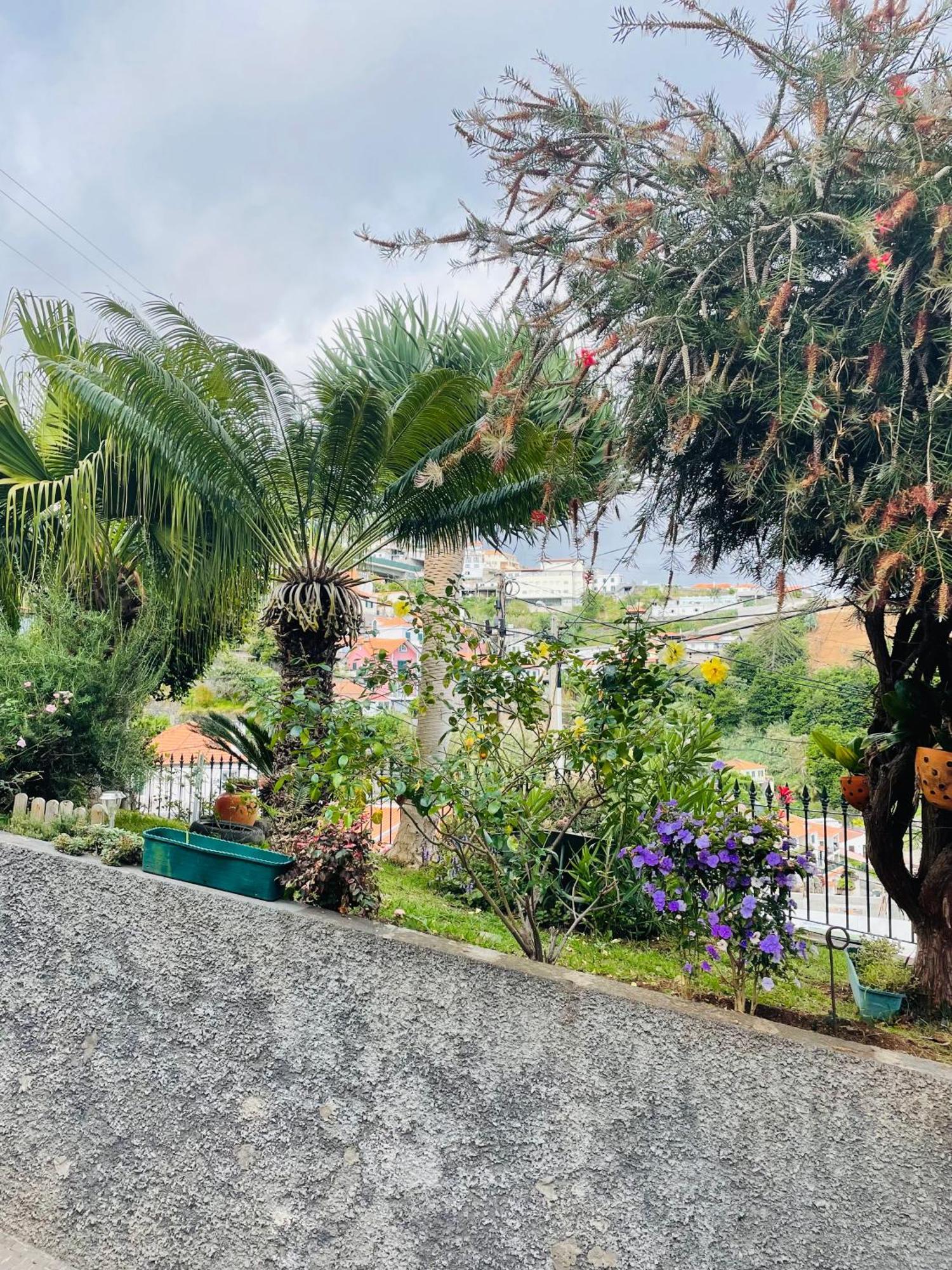 Cozy House Hotel Funchal  Kültér fotó
