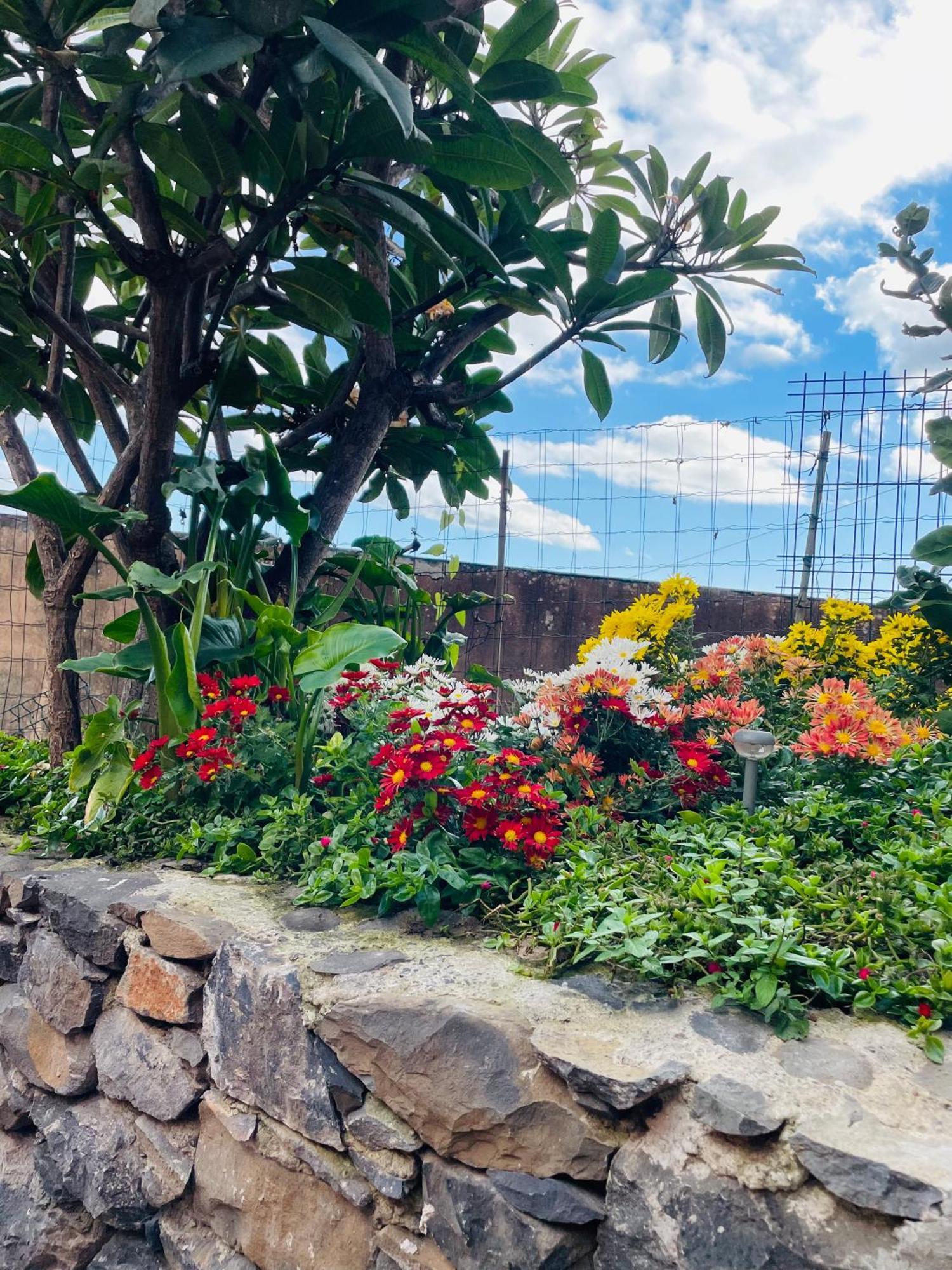 Cozy House Hotel Funchal  Kültér fotó