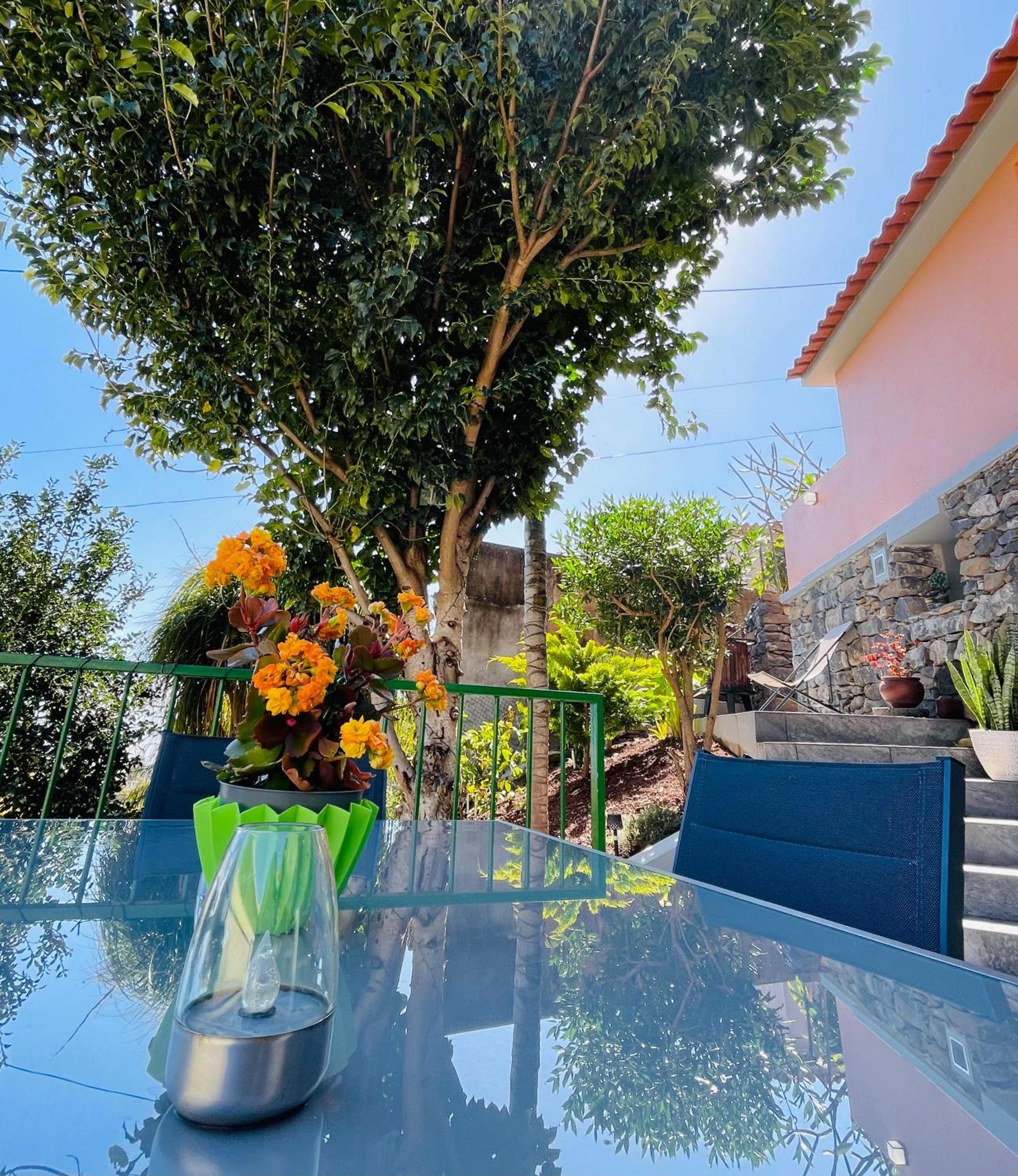 Cozy House Hotel Funchal  Kültér fotó